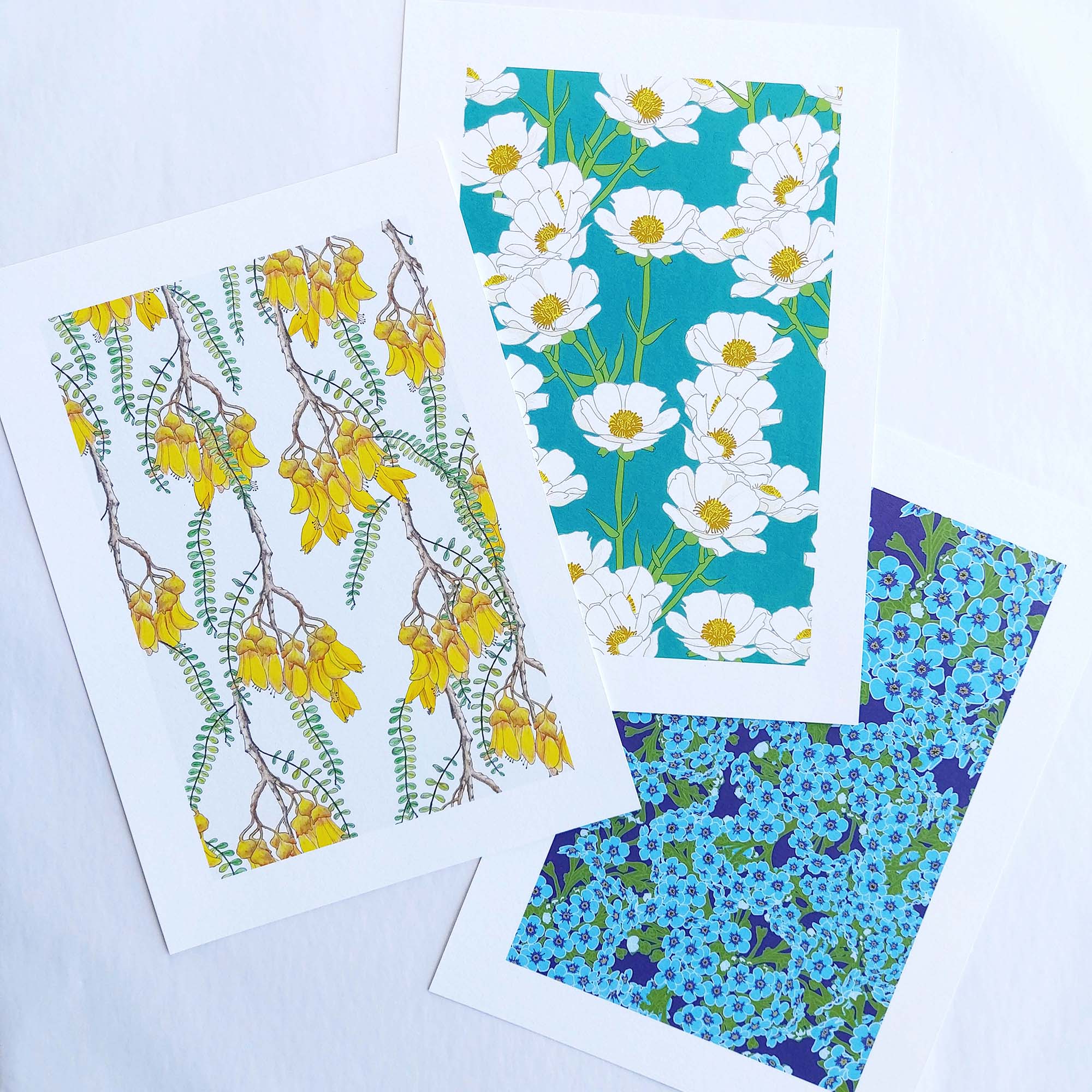 Branches of Kowhai Art Print