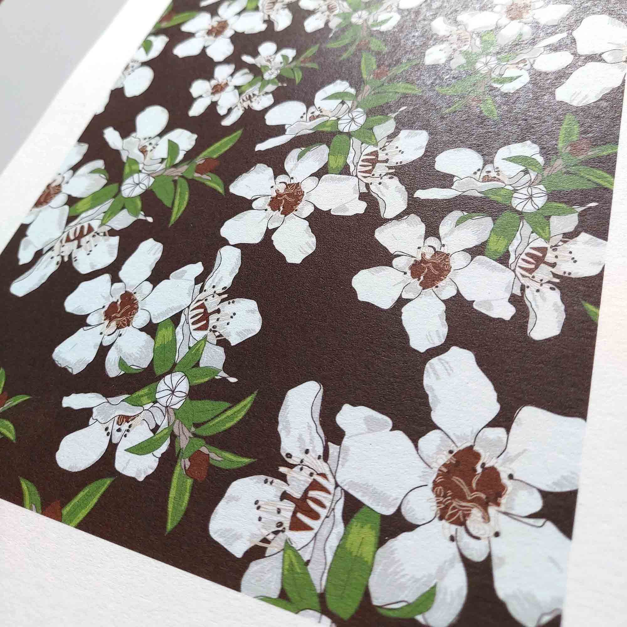 Manuka Art Print - NZ Native Flowers