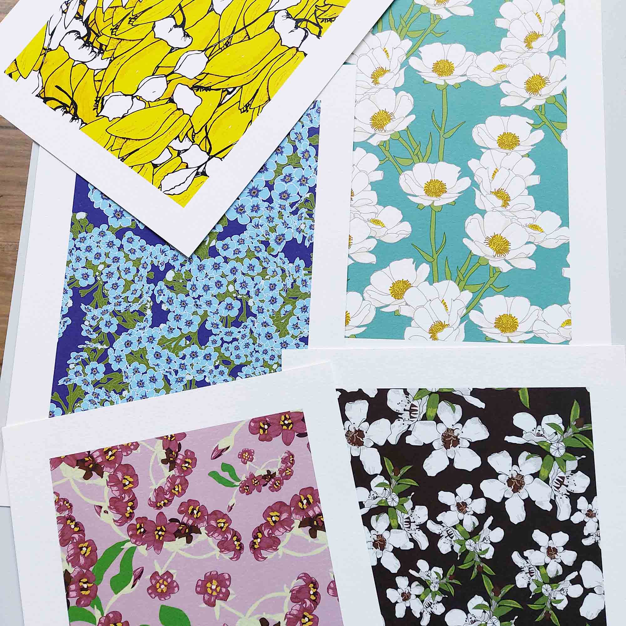Pittosporum Art Print