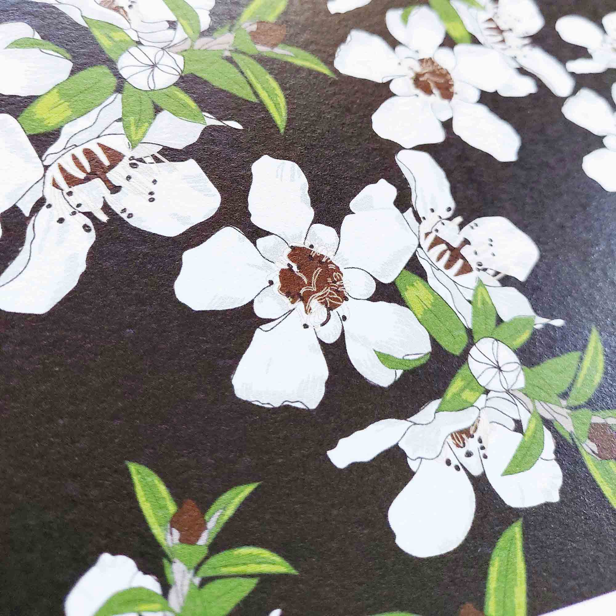 Manuka Art Print - NZ Native Flowers