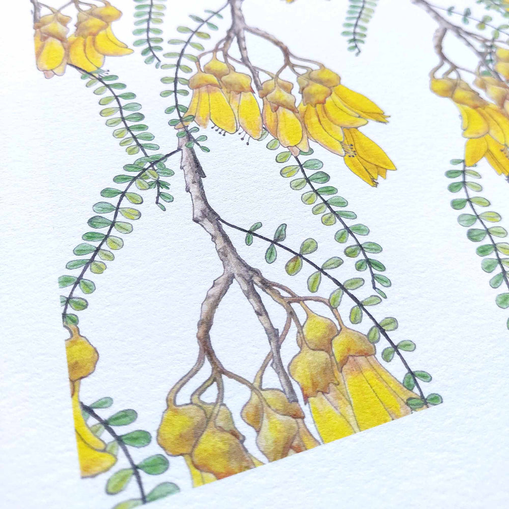 Branches of Kowhai Art Print