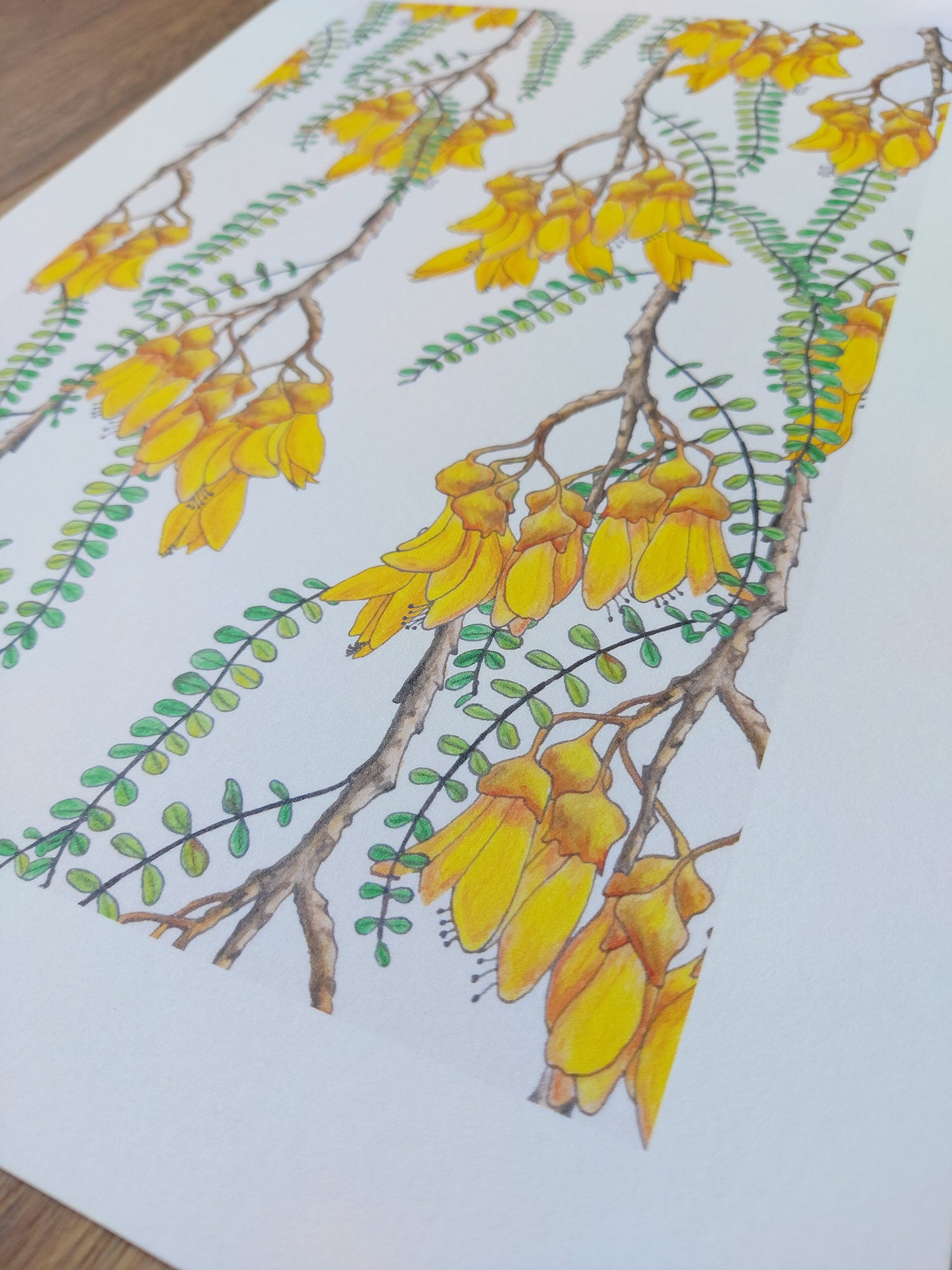 Branches of Kowhai Art