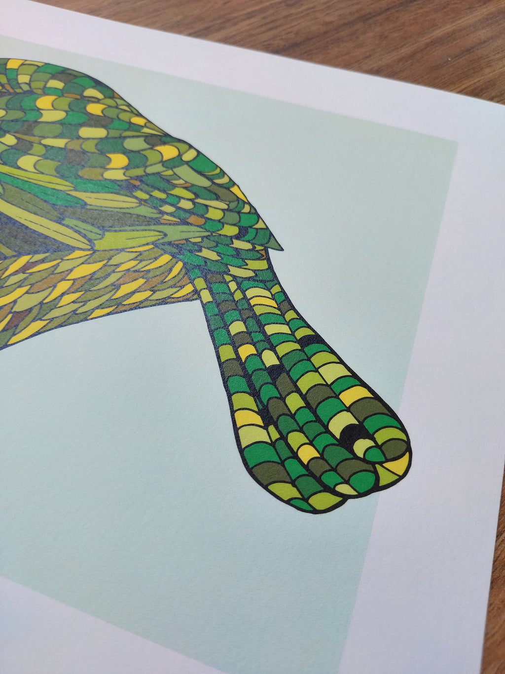 Kakapo Green Art Print
