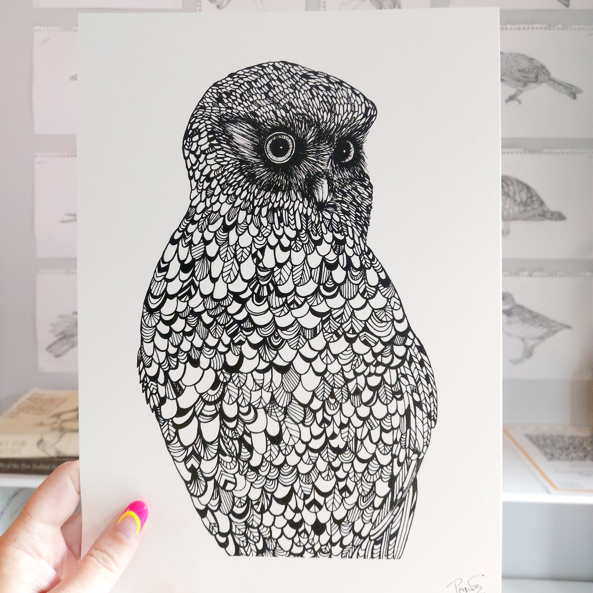 Morepork Art Print (NZ Native Owl)