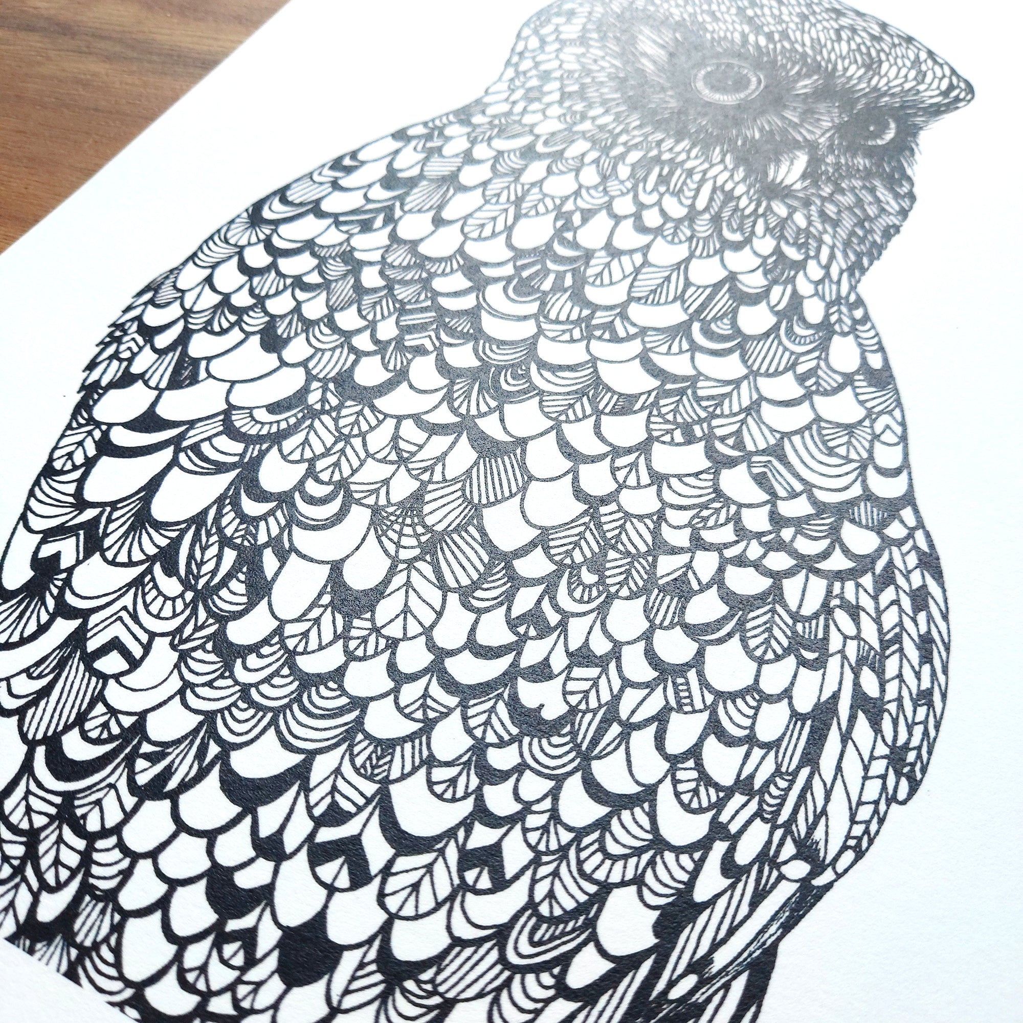 Morepork Art Print (NZ Native Owl)