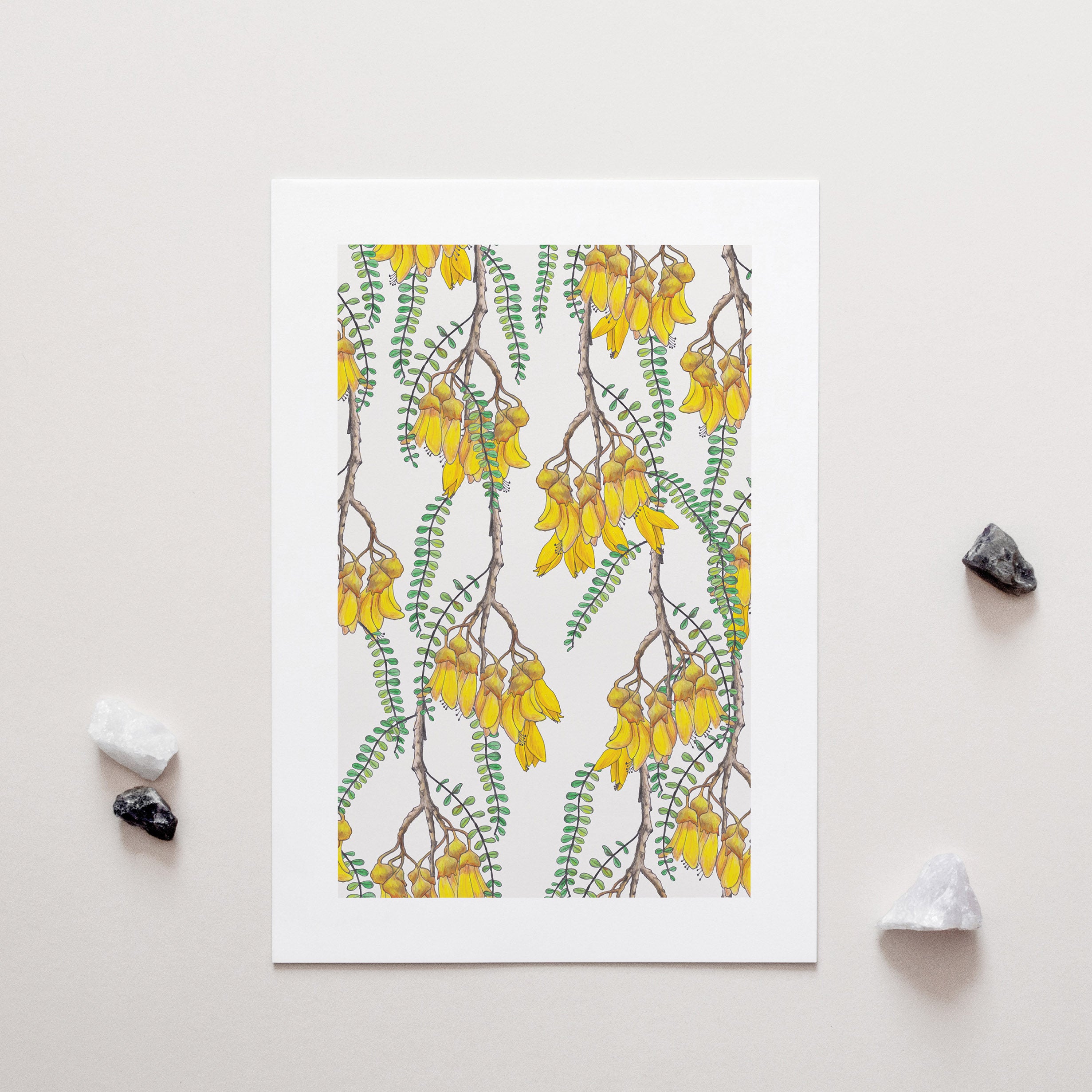 Branches of Kowhai Art Print