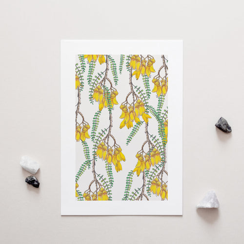 Branches of Kowhai Art Print