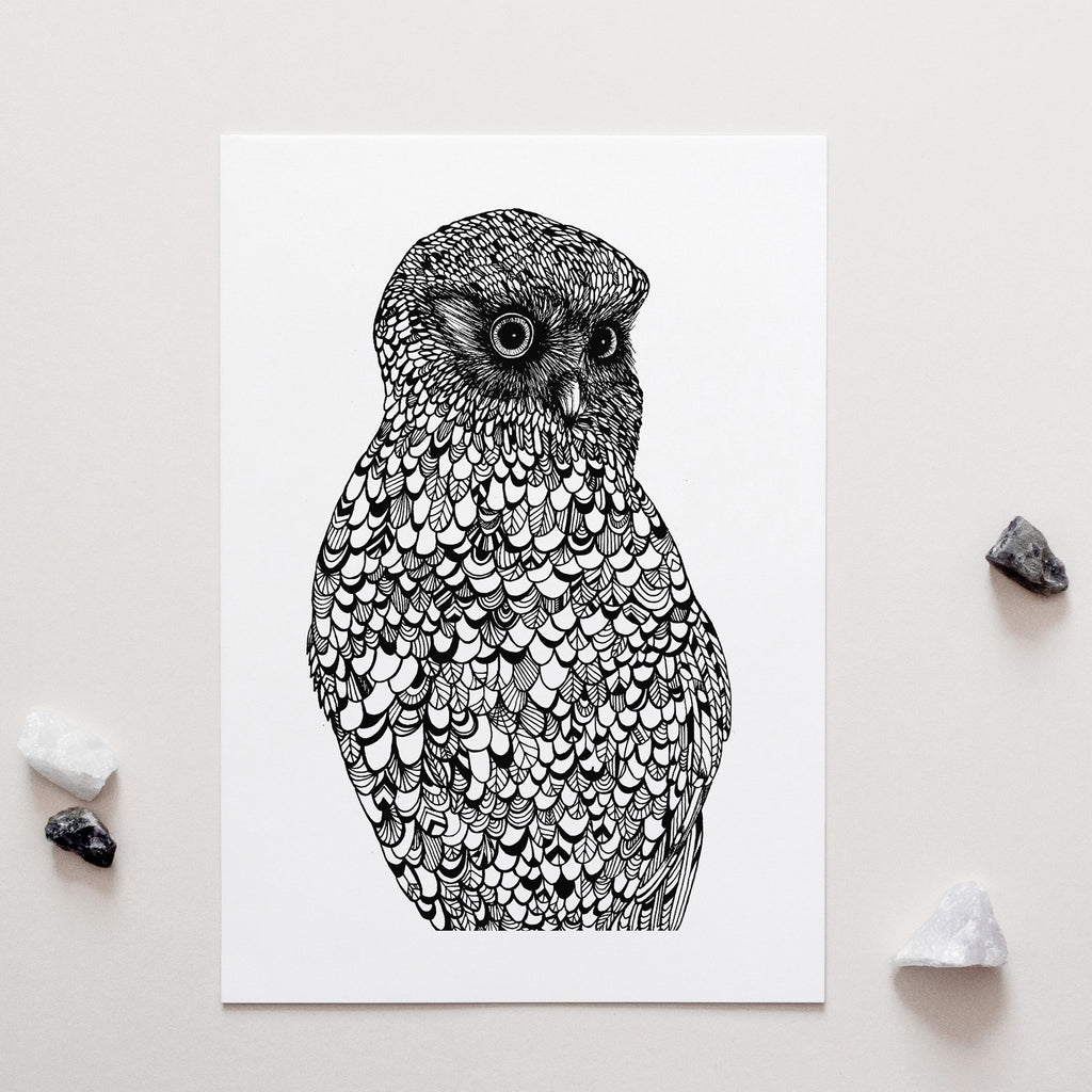 Morepork Art Print