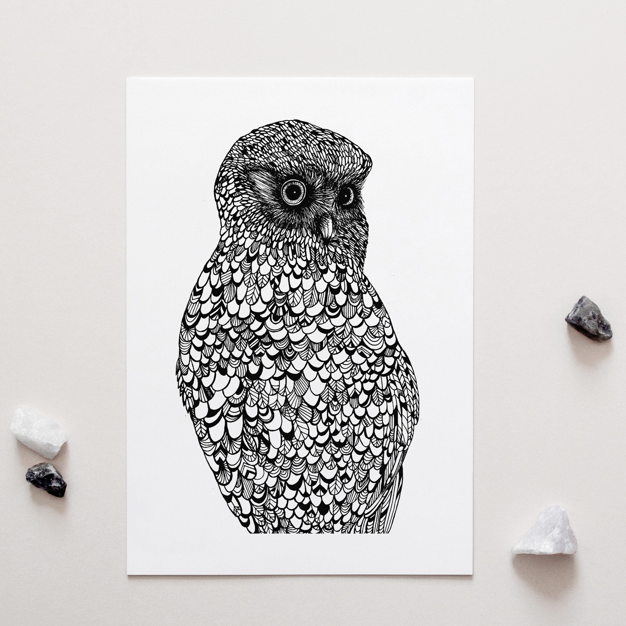 Morepork Art Print