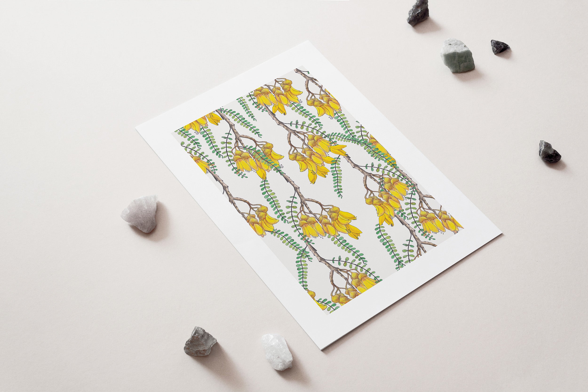 Branches of Kowhai Art Print
